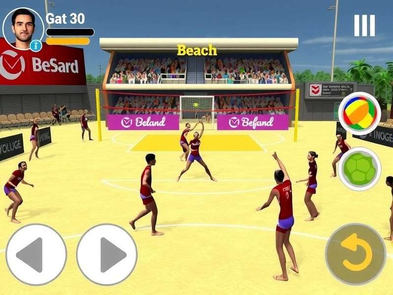 Beach Volley India Elite Game Screenshot